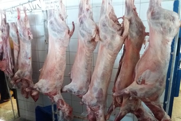 Anunt ANSVSA pentru romanii care achizitioneaza carne de miel