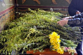Florii 2026 Ce activitati se desfasoara inainte de Saptamana Patimilor Traditii si superstitii