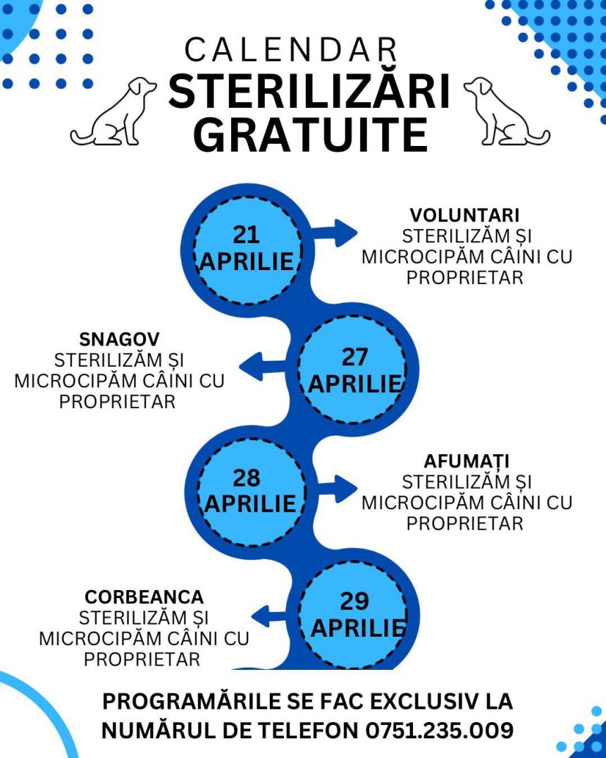In Ilfov sterilizari gratuite pentru cainii cu stapan Programul campaniei