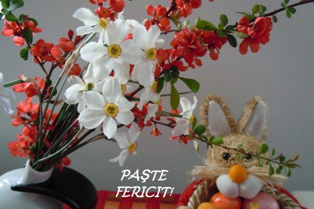 Redactia Jurnalului de Ilfov va dores te un Paste Fericit Hristos a inviat
