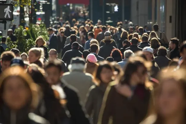 Romanii contribuie la stat cu aproape de doua ori mai mult decat cheltuie pe hrana si bauturi Impozite si contributii opresive