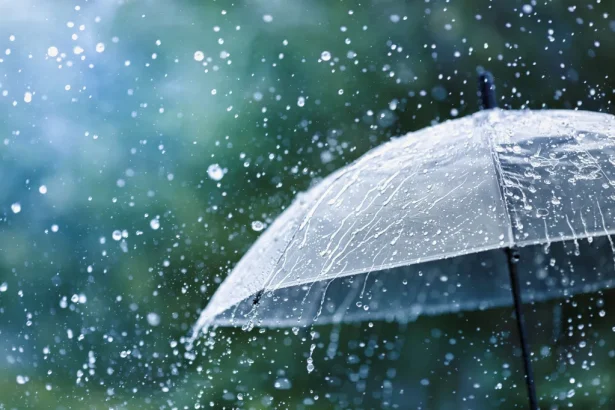 vreme rece cer innorat si precipitatii mixte pana sambata in judetul ilfov
