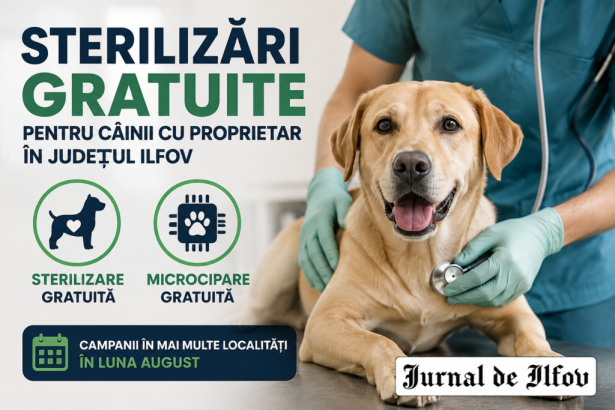 Sterilizari gratuite pentru cainii din Ilfov noi campanii planificate in diverse localitati